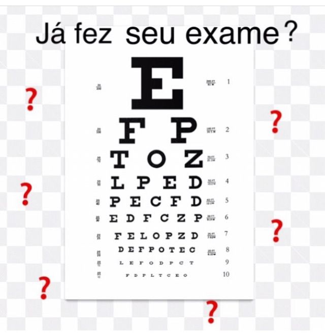 Daniela Erthal Righi Vieira-11