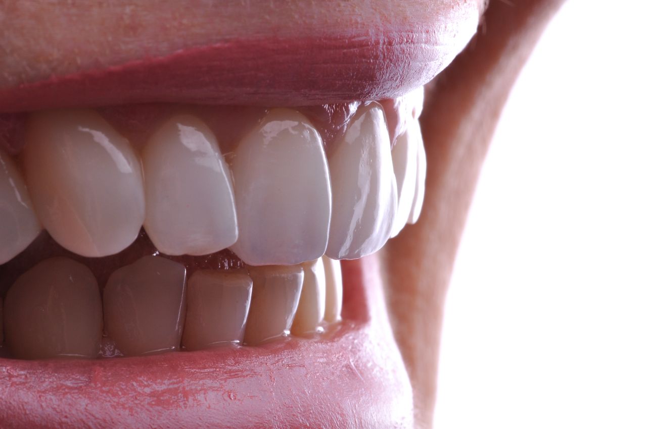 Fernanda Camargo Silveira-9