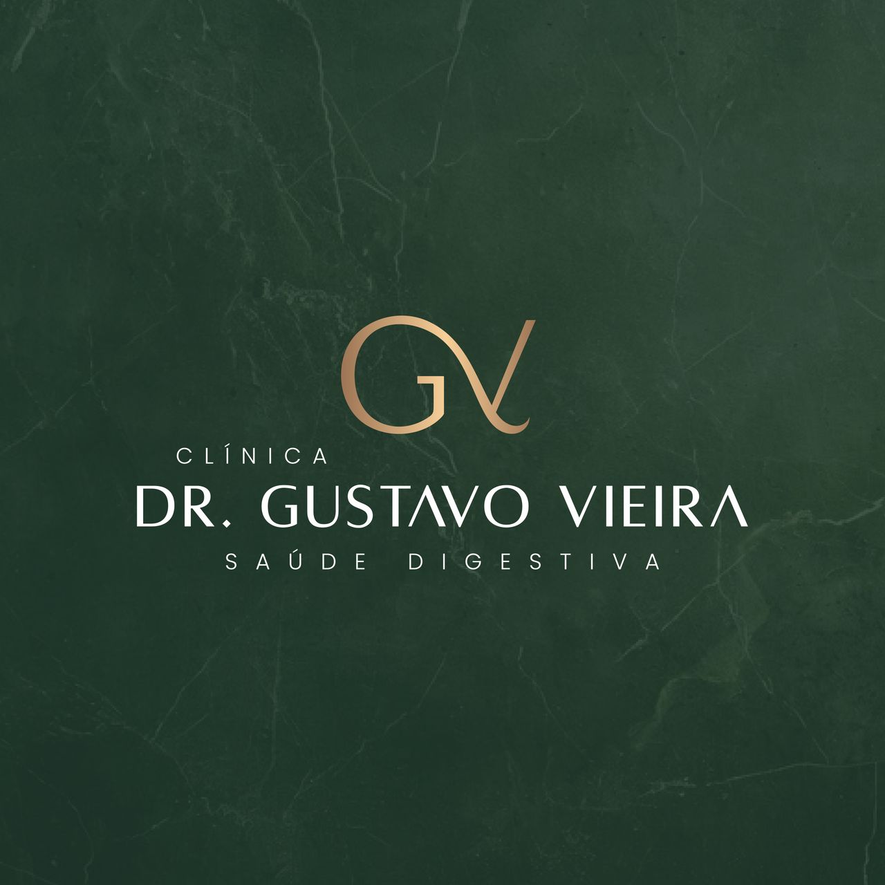 Gustavo Vieira-0