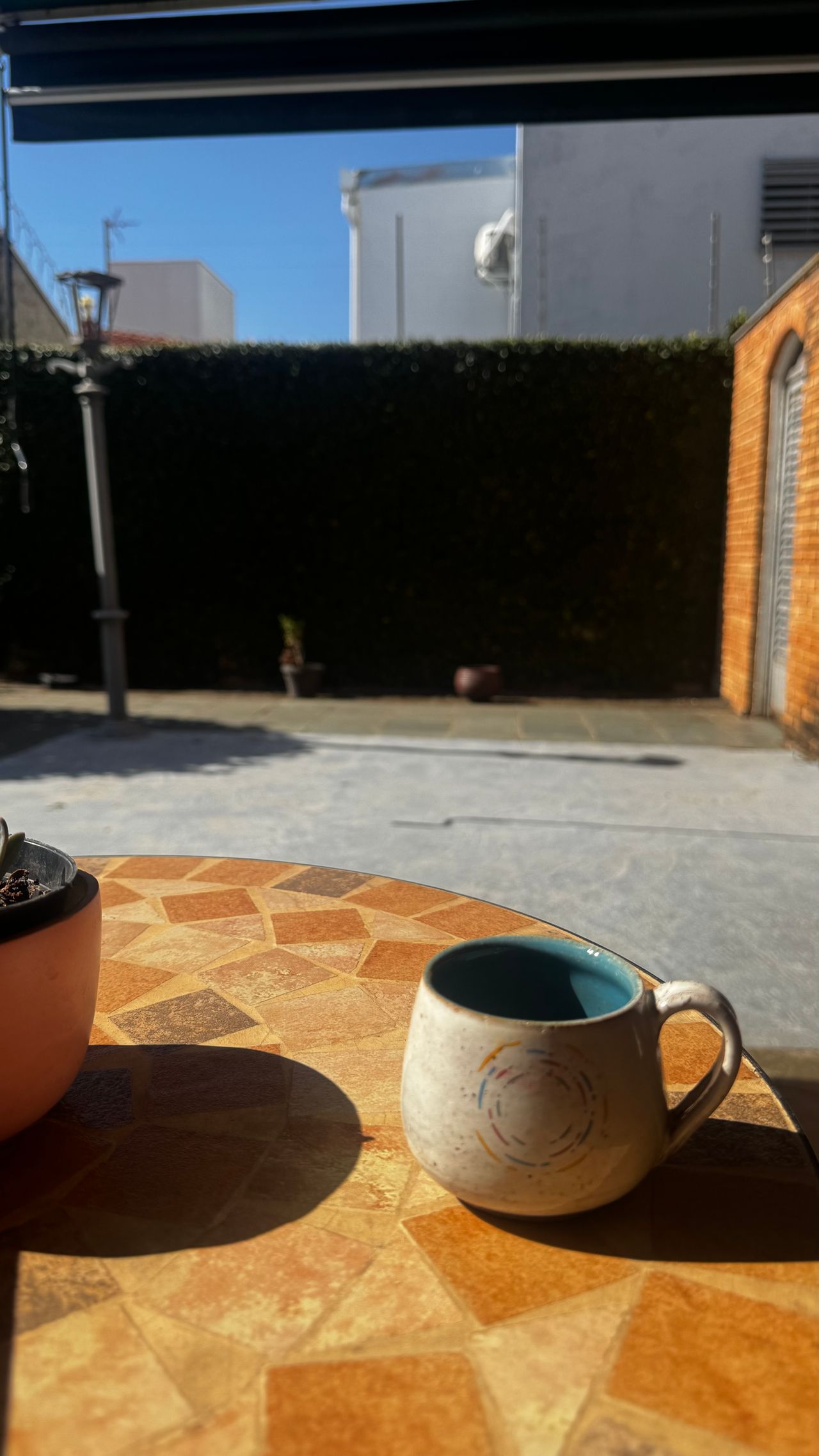 Beatriz Baltazar Da Costa-0