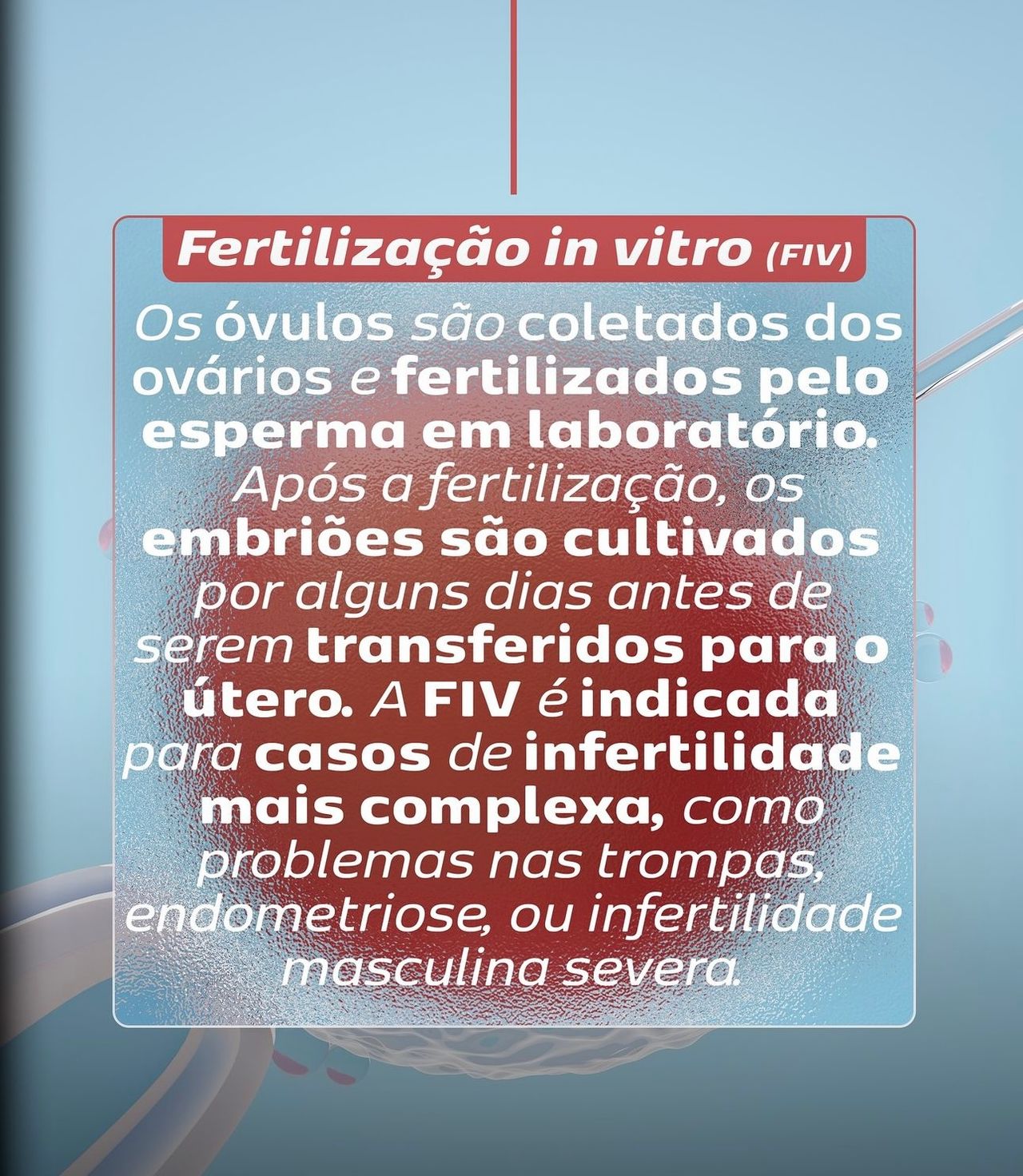 Marcelle Moura-2
