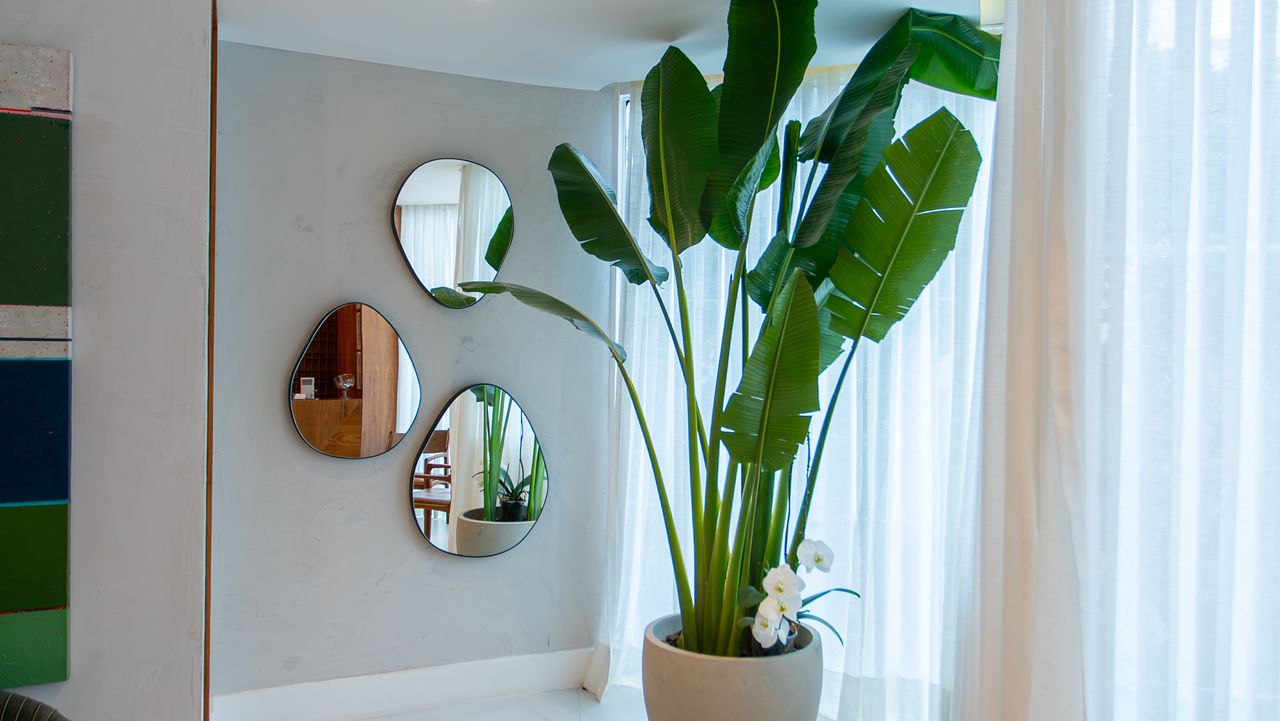 Leonardo Stambowsky-8