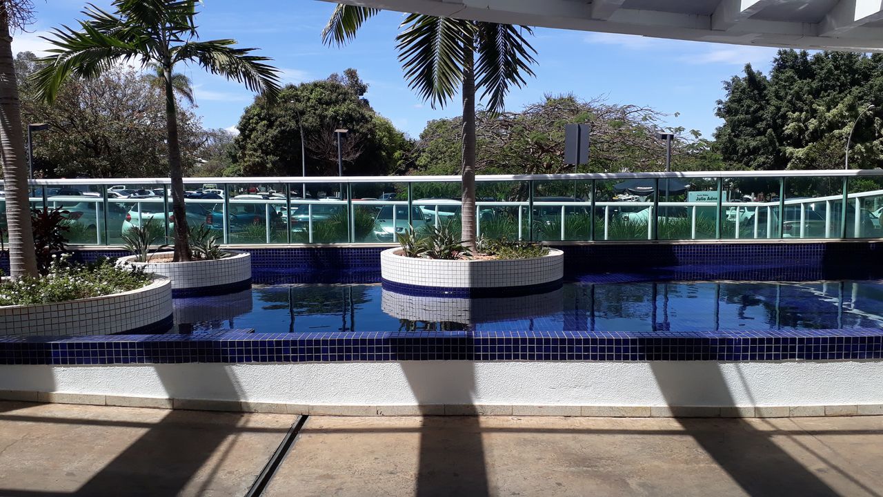 Vivian Gabrielle Barreto Amorim-6