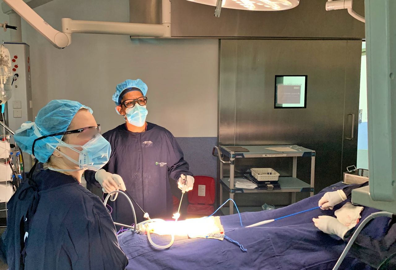 Carlos Andres Beltran Hernández-5