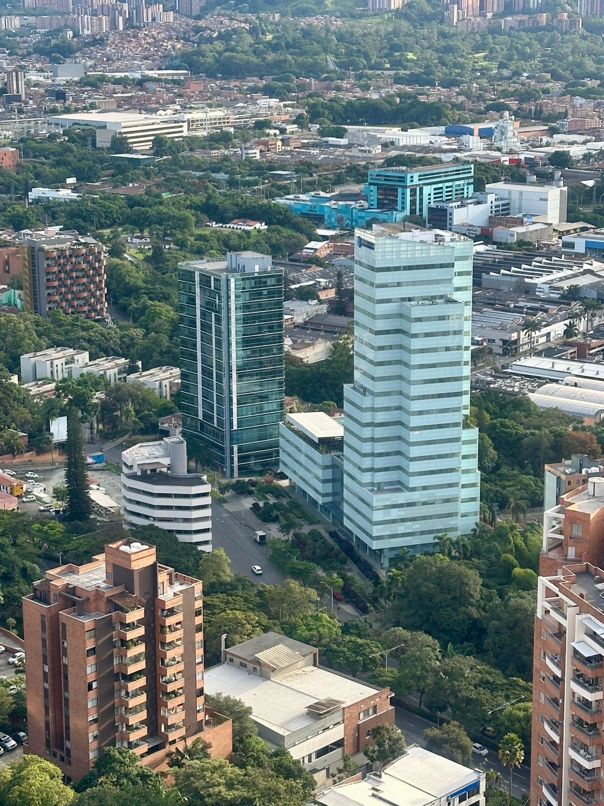 Mariana Palacio Grisales-5