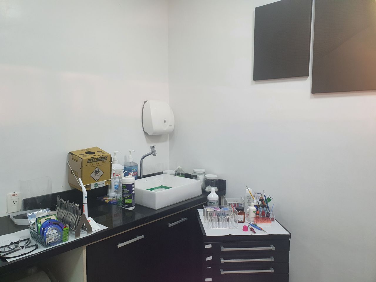 Paula Veridiana Uehbe Dias-13