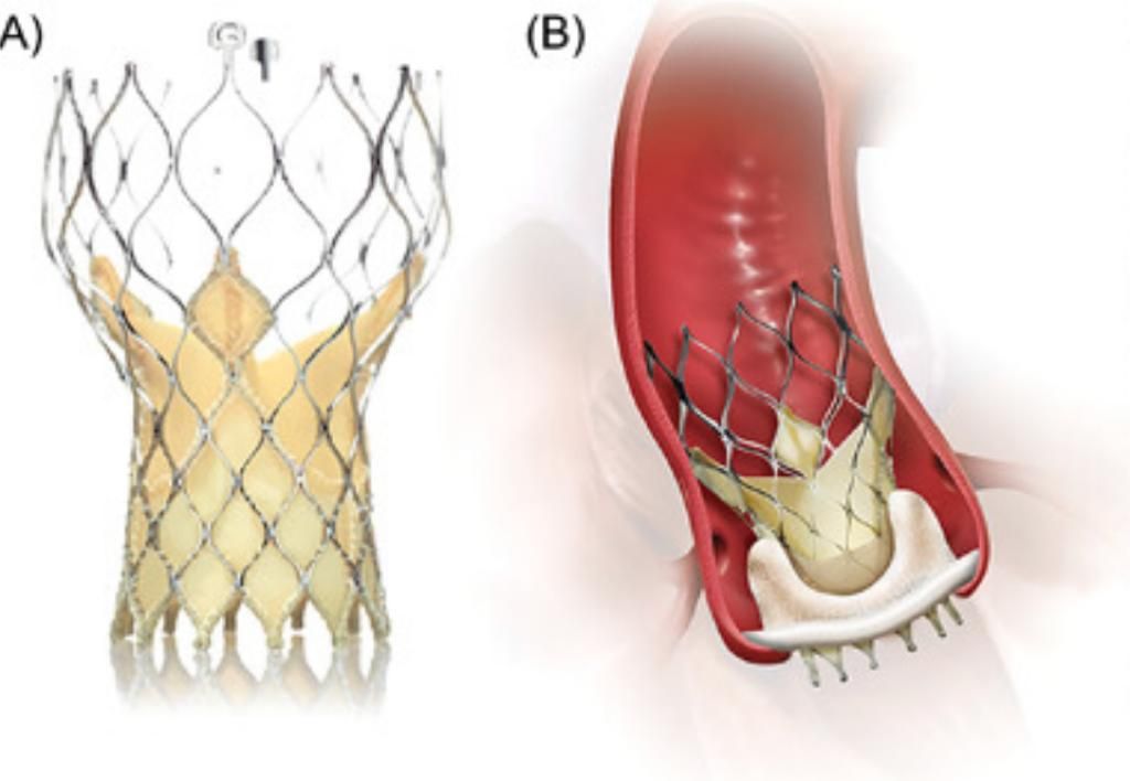 Leônidas Alvarenga Henriques-10