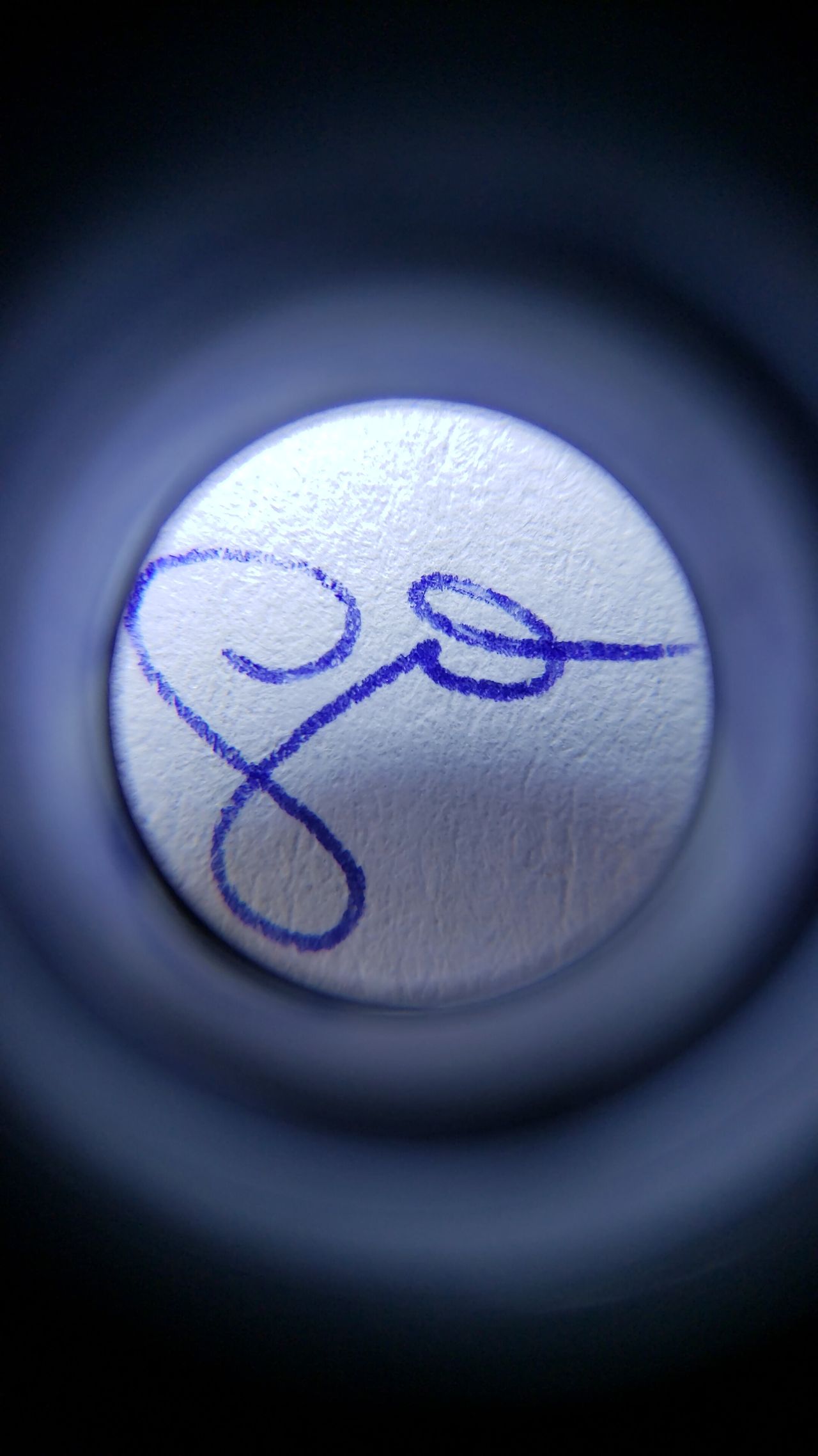 Anita María Gutiérrez M.-4