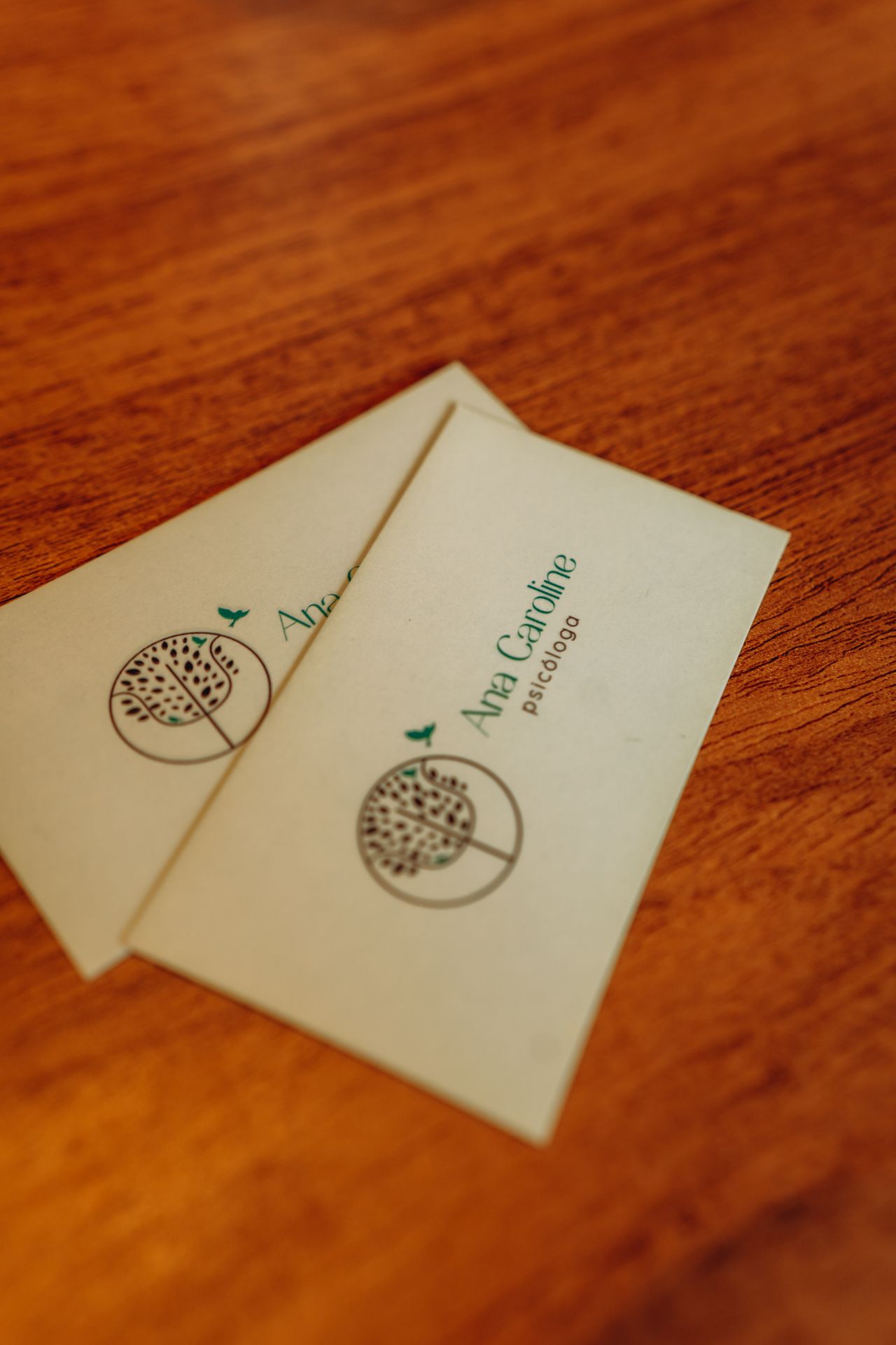 Ana Caroline Espírito Santo Maciel-9