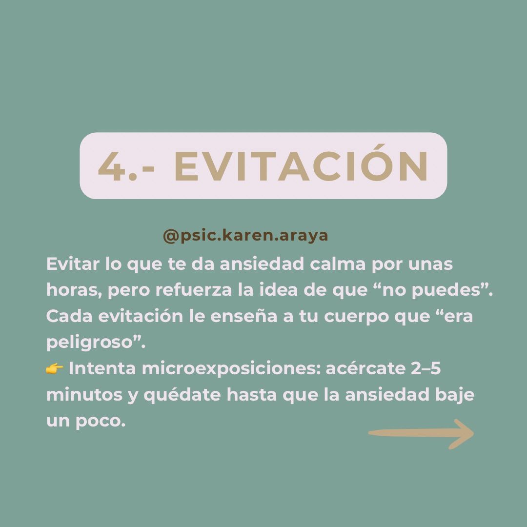 Karen Araya Bustamante-12