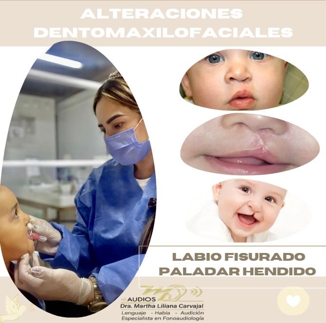 Martha Liliana Carvajal Peña-4