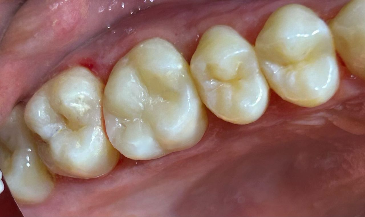 Cassia Cestari Toia-5