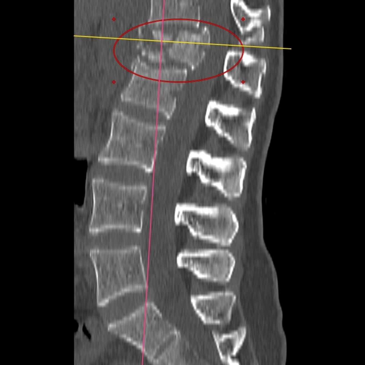 David Tafur Muñoz-1708