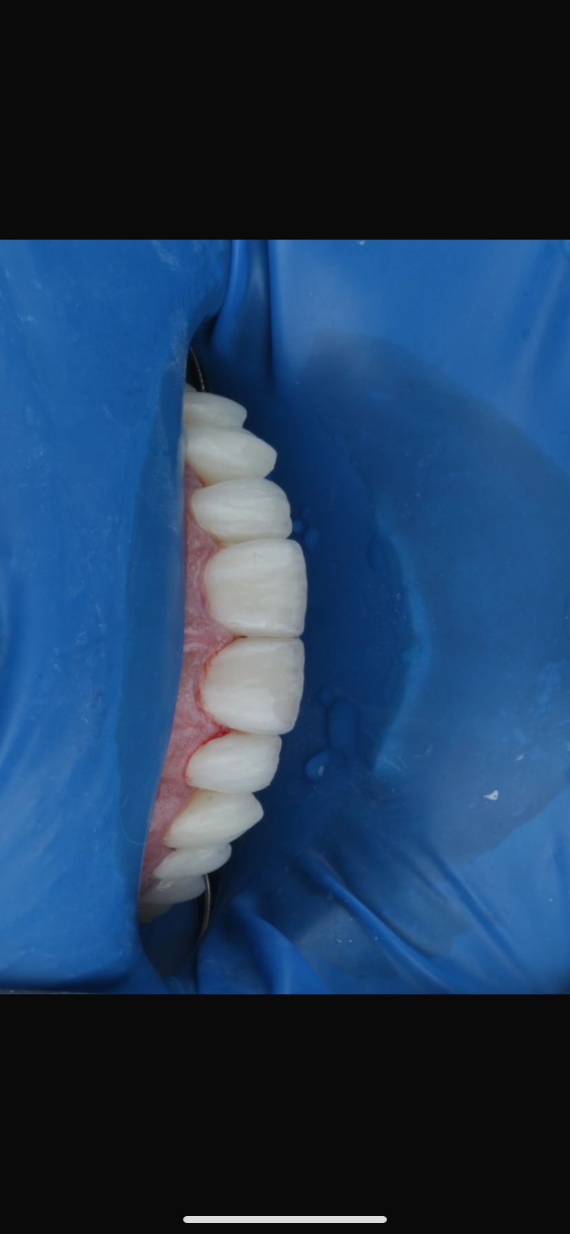 Guilherme  Carvalho-8