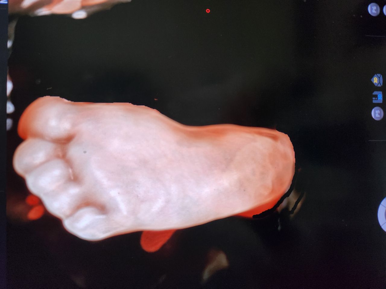 Lorena Alejandra Hormazabal Lama-12