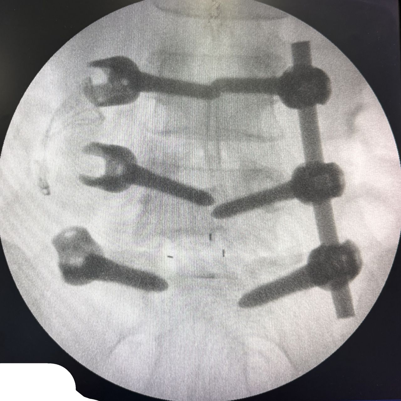 David Tafur Muñoz-2445