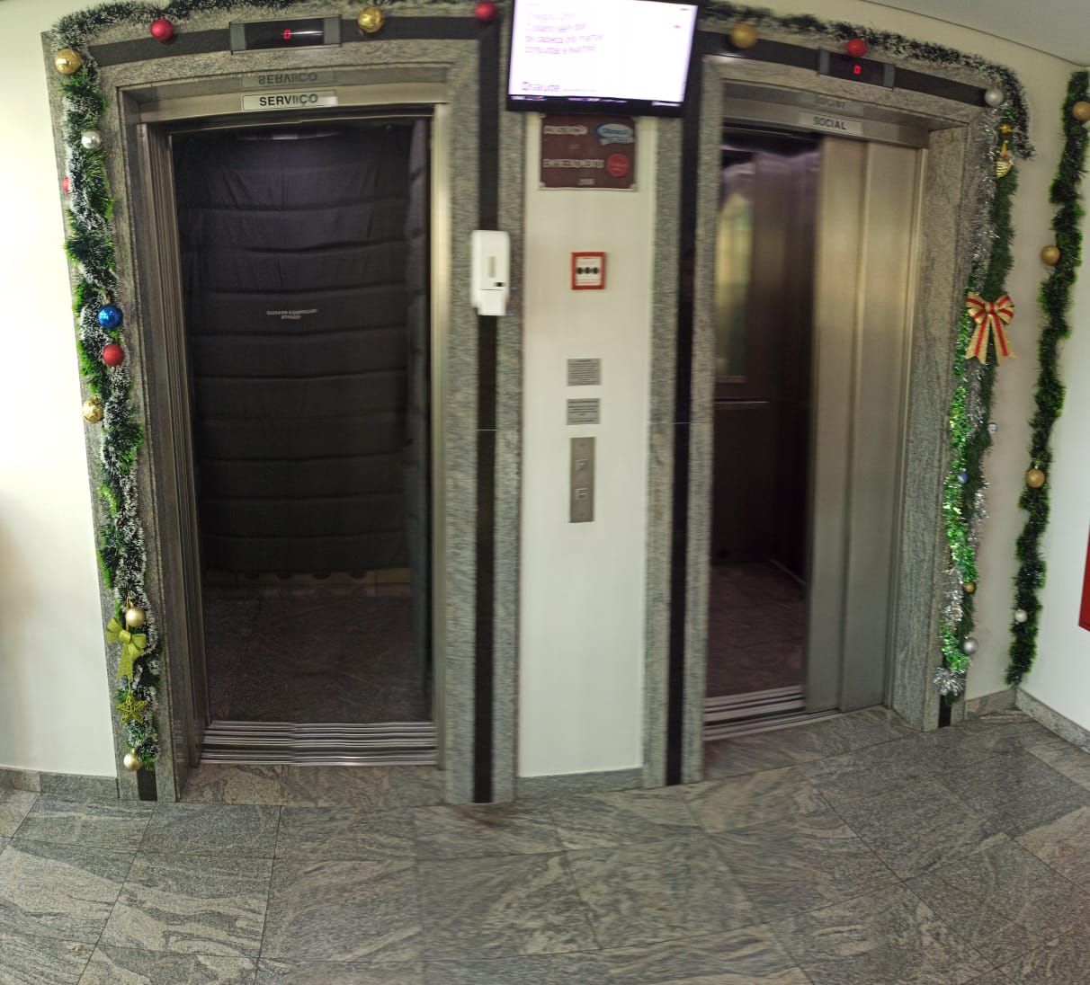 Regina De Lourdes Marcellini Giannini-5