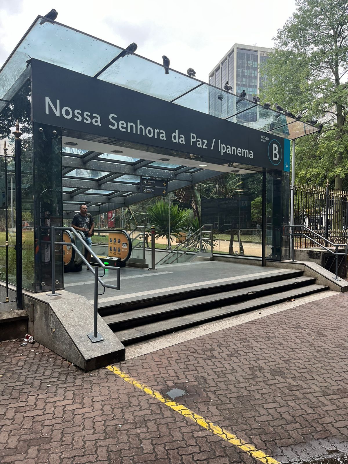 Andre Luis F. Castro-0