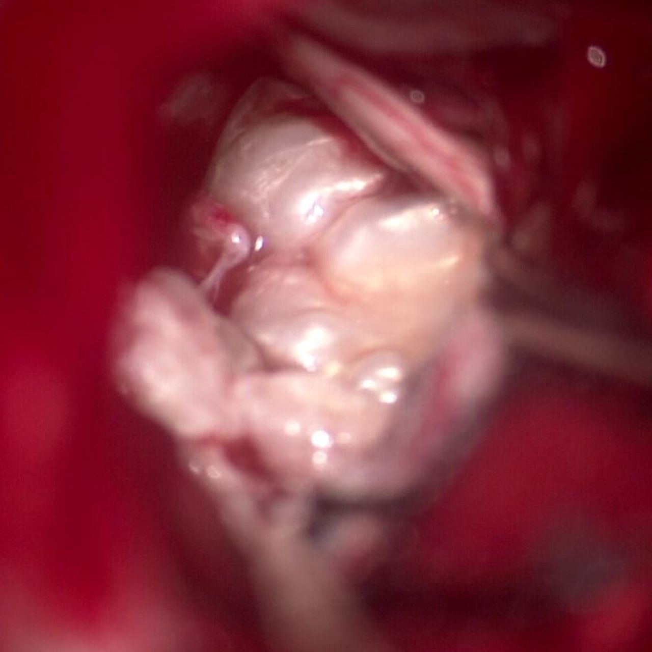 David Tafur Muñoz-1368