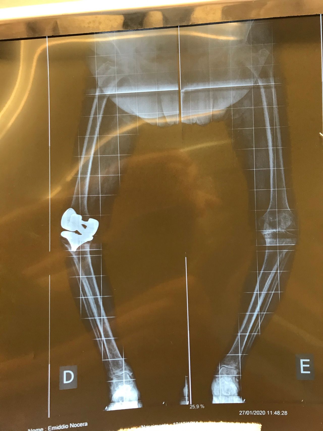 Eduardo Ramalho De Moraes-11