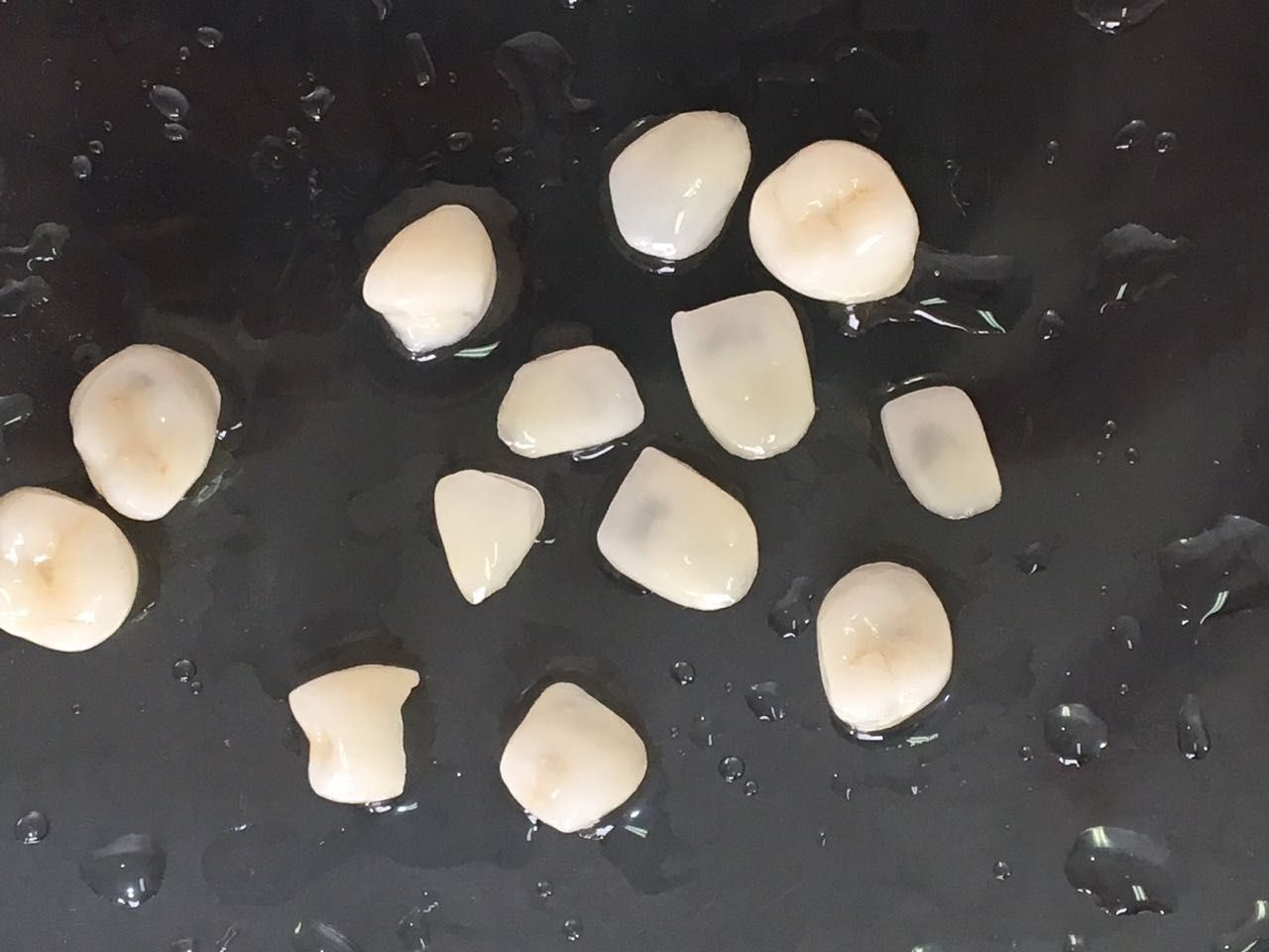 Patricia Christine Pinto-17