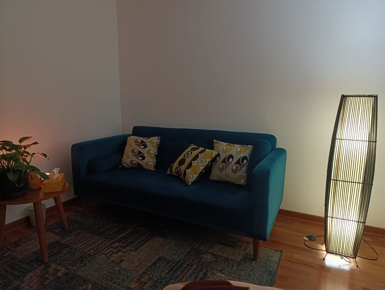 Mariella Cespedes Manzanares-1