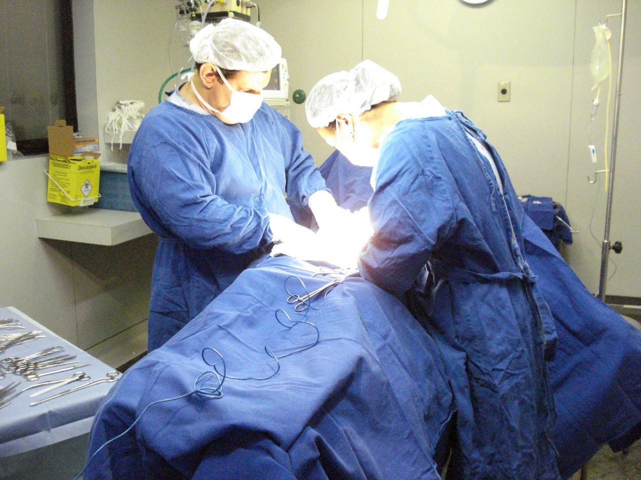 Fatima Akemi Tamaru-41