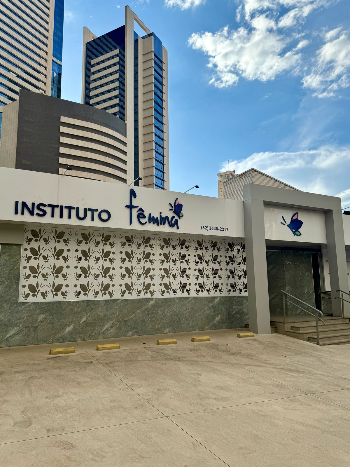 Leandro Henrique Avila Silveira-1