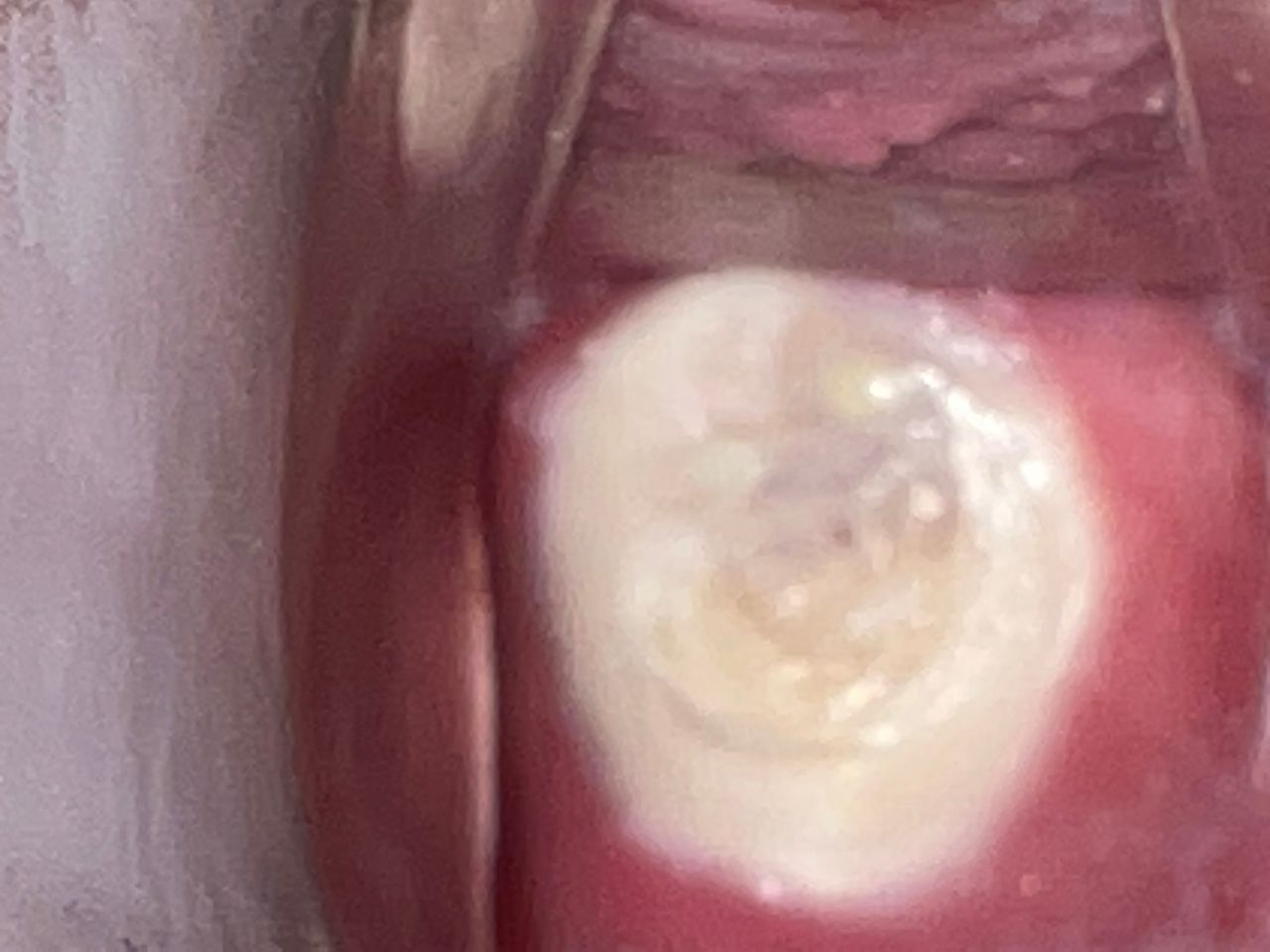 Alexander Alonso Lázaro Chumbe-6