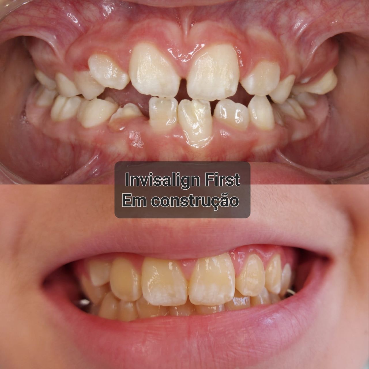 Camila De Loyola E Silva Avellar Fonseca-14