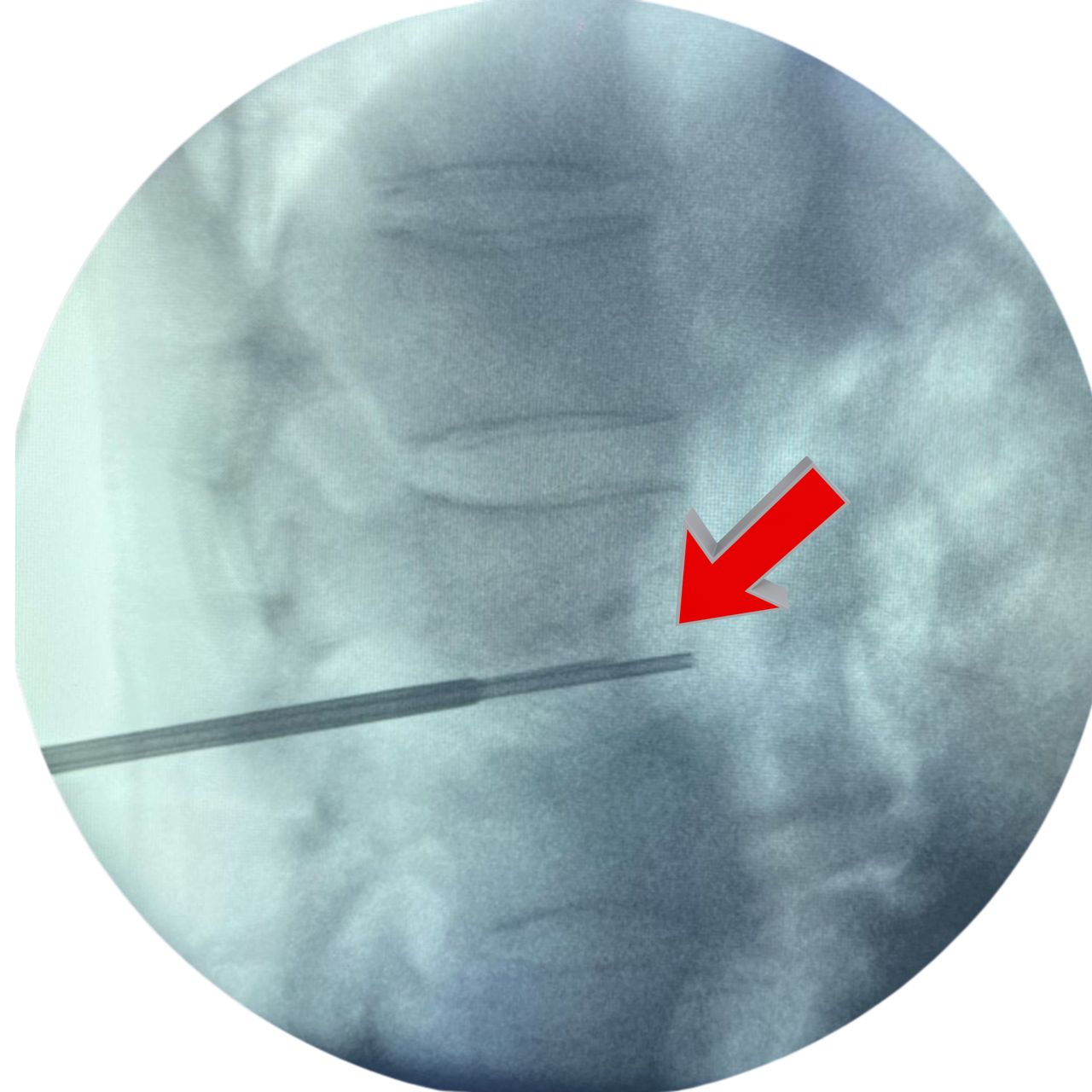 David Tafur Muñoz-1750