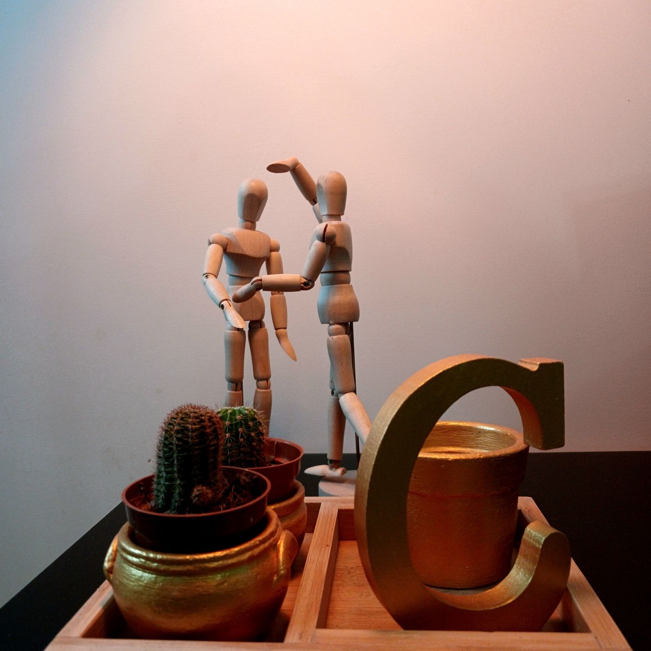 Cristiane Corrêa De Vasconcelos-2