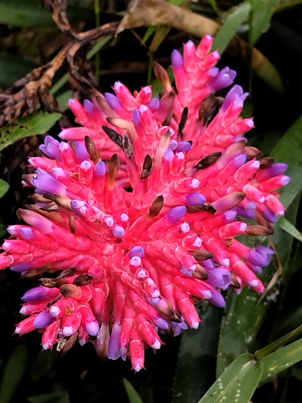 Robinson Largo Suarez-0