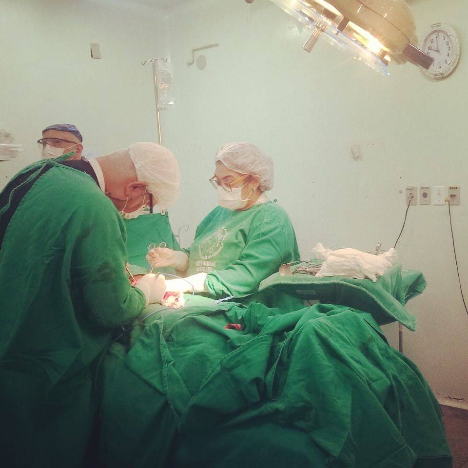 Alessandra Mara Souza De Menezes-9