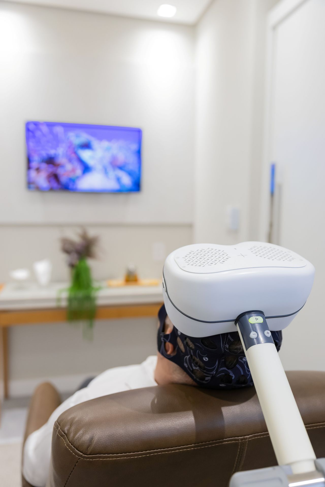 Fabiana May Bandeira-4