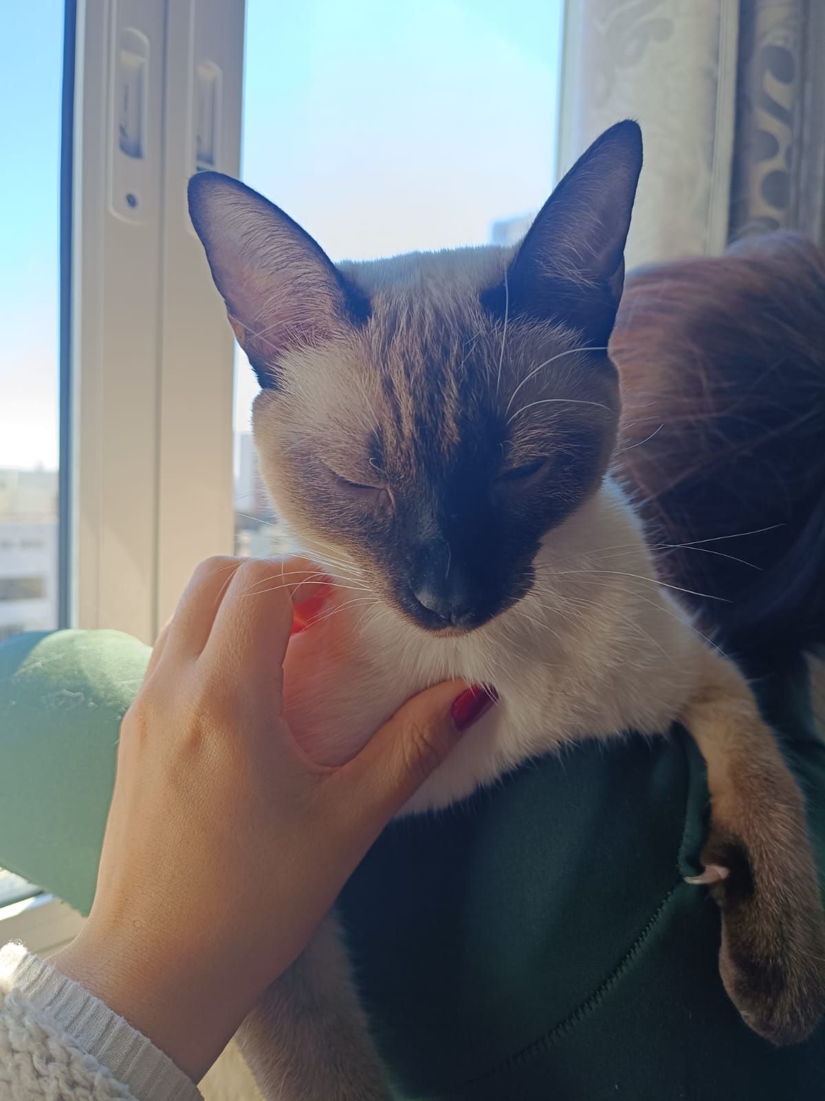 Priscila Yamashita Silva-6