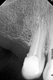 Márcia Falcão Carvalho Airemoraes-3