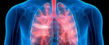 Alice Martins Machado-1