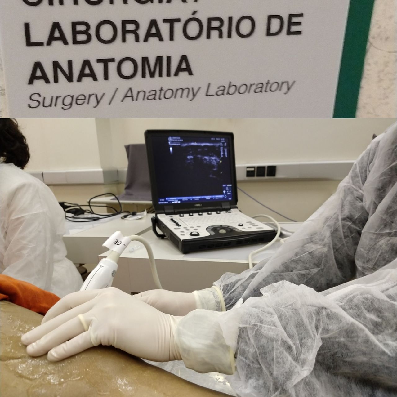 Victor Fontes Pacheco-48