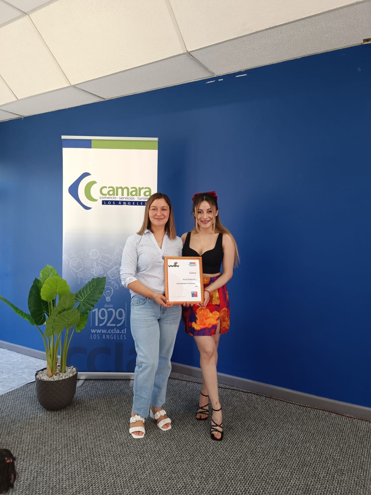 Andrea Collipal Espinoza-12