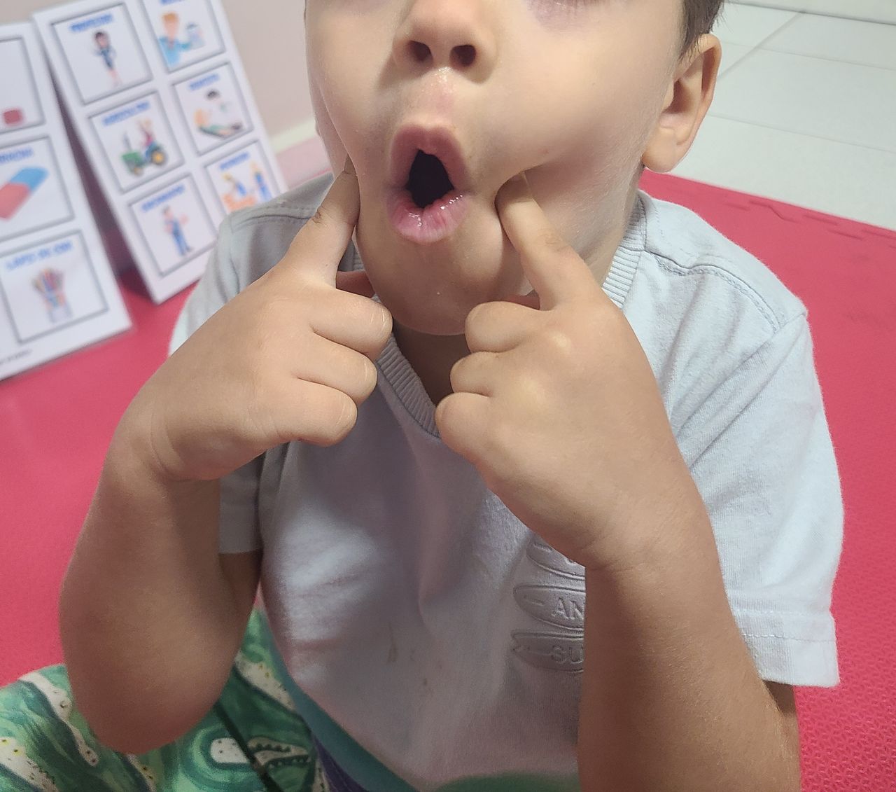 Josiane Aparecida  De Magalhães Almeida Santos-7