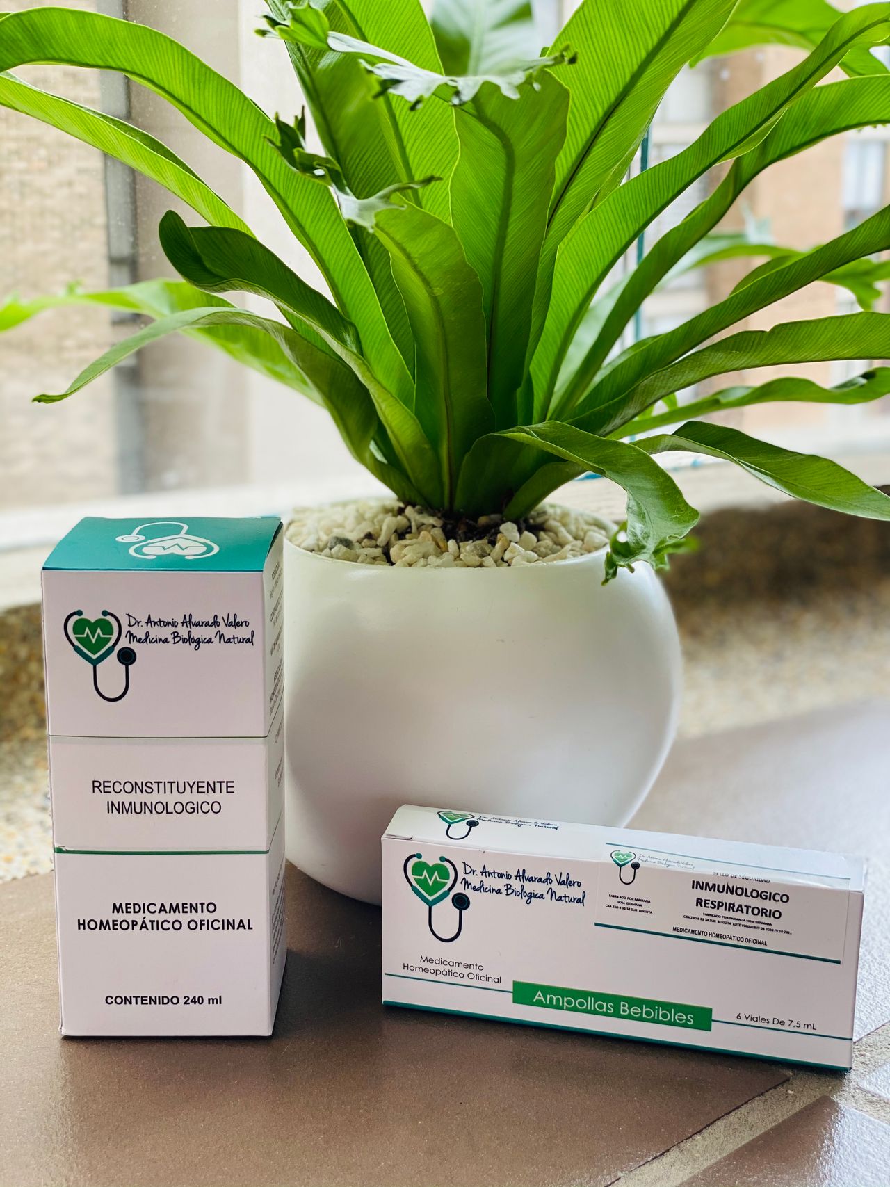 Antonio Alvarado Valero-1