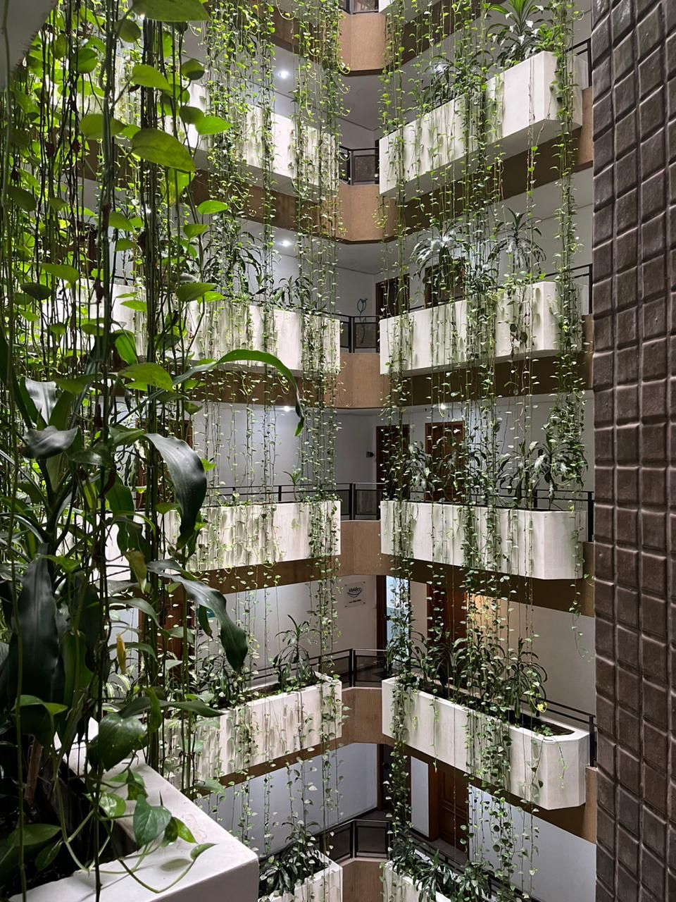 Leonardo Gazzi Costa-5