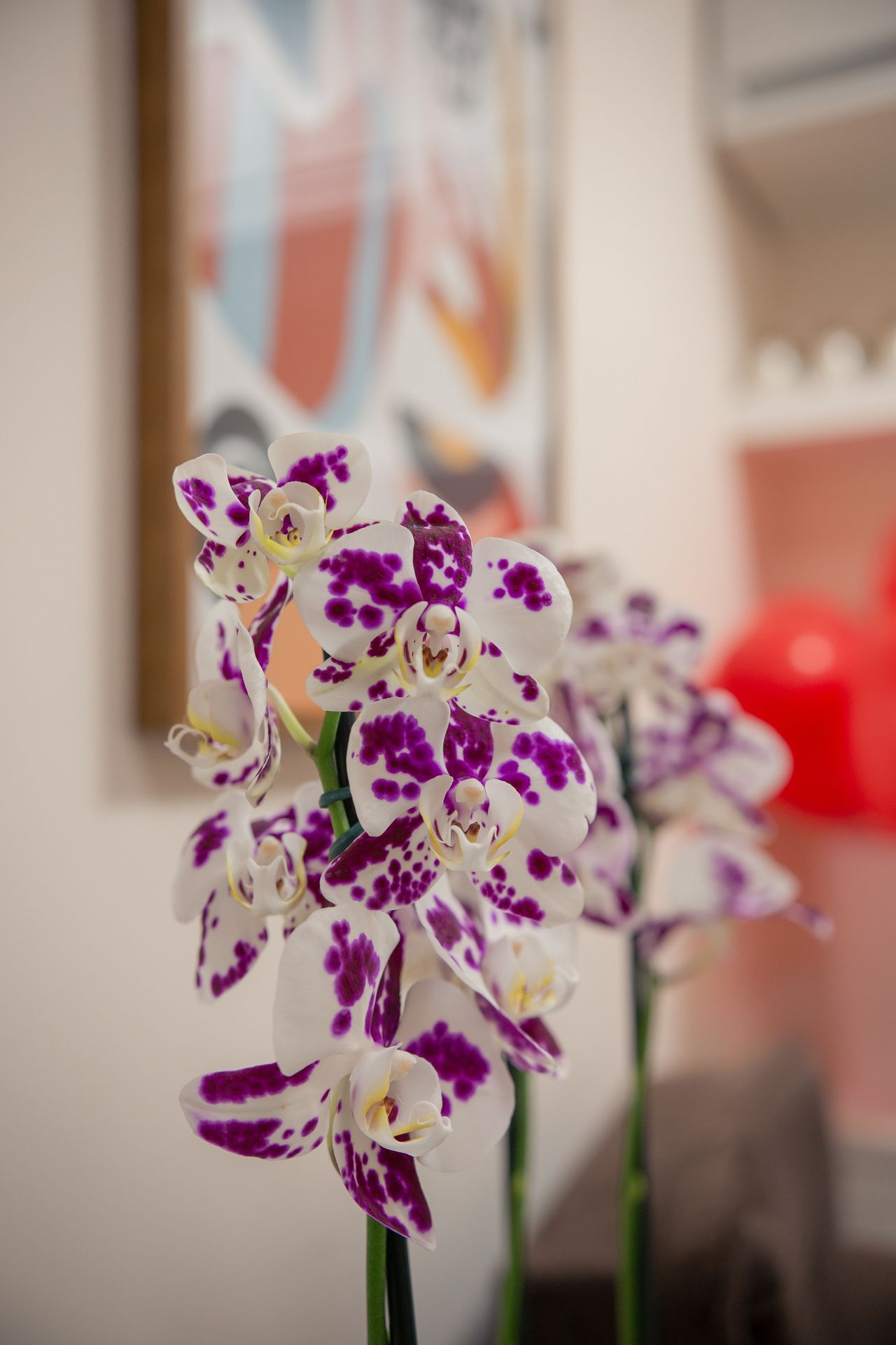 Flávia De Souza Teixeira-1