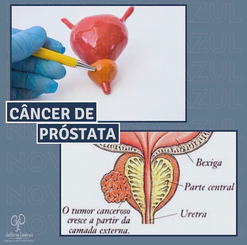 Guilherme Canabrava-9