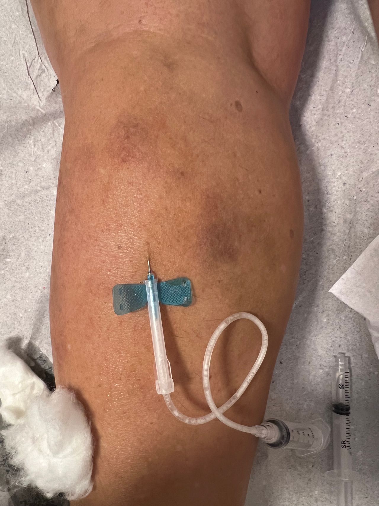 Claudia Stein Gomes-12