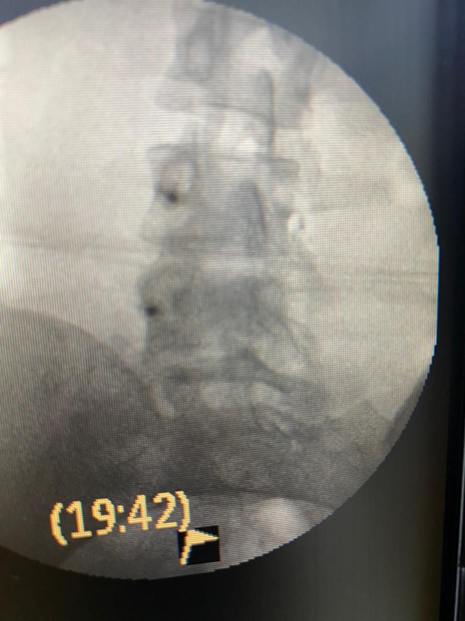 Victor Fontes Pacheco-5