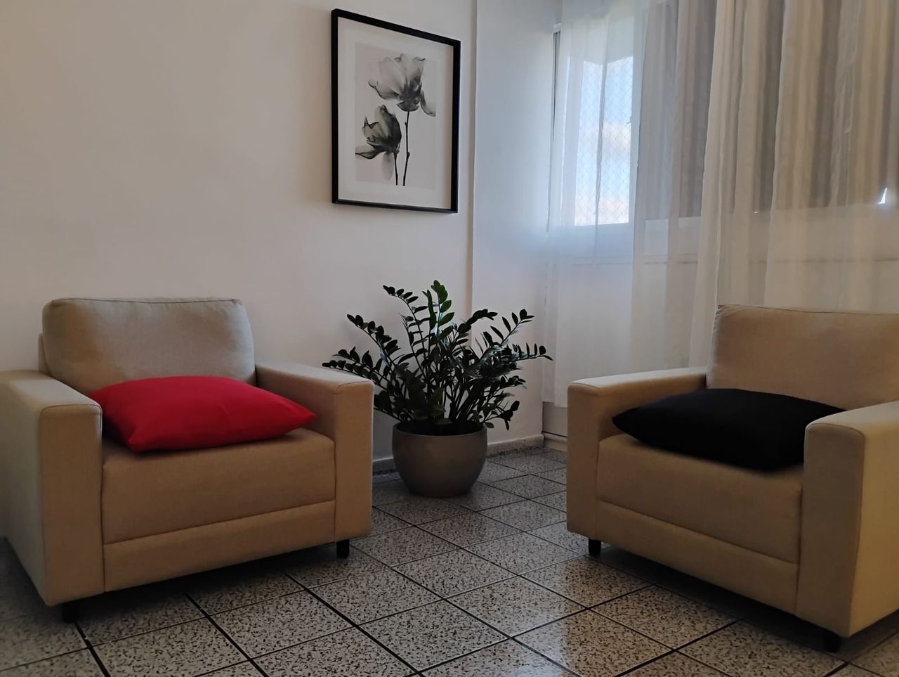 Francisco André Silva-7