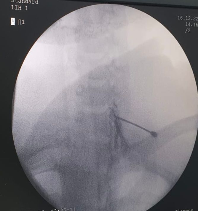 Marcia Regina Nobres Da Silva Pereira-6