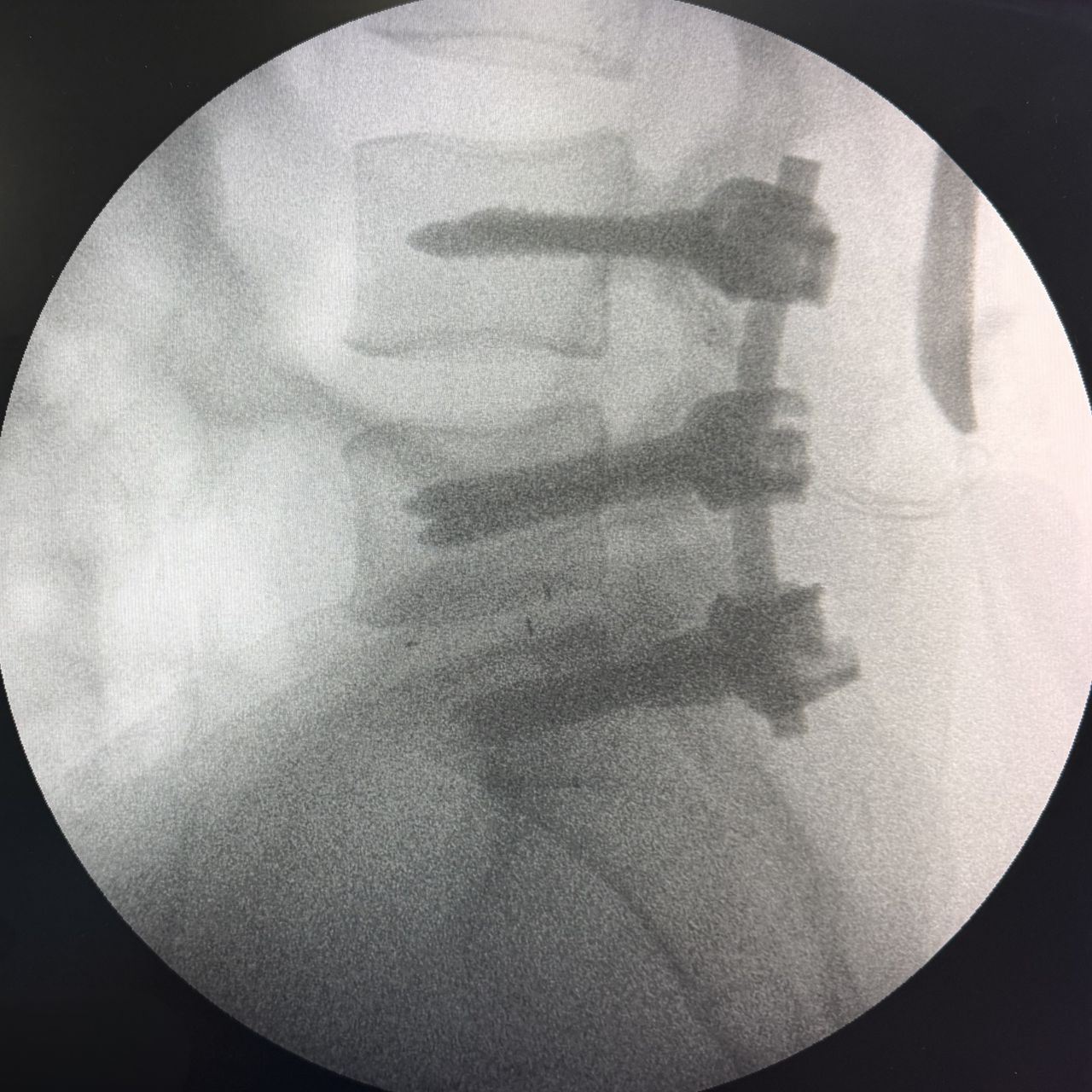 David Tafur Muñoz-2451